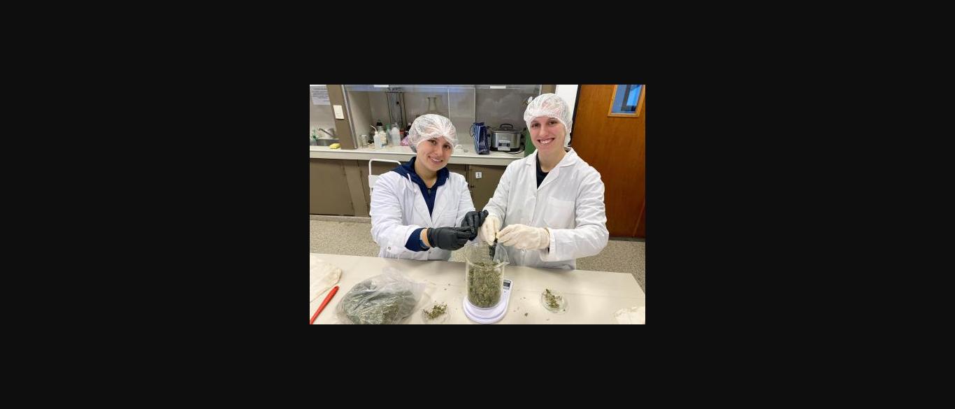 Primer Consorcio de Cannabis de Argentina - CIAB UTN La Plata
